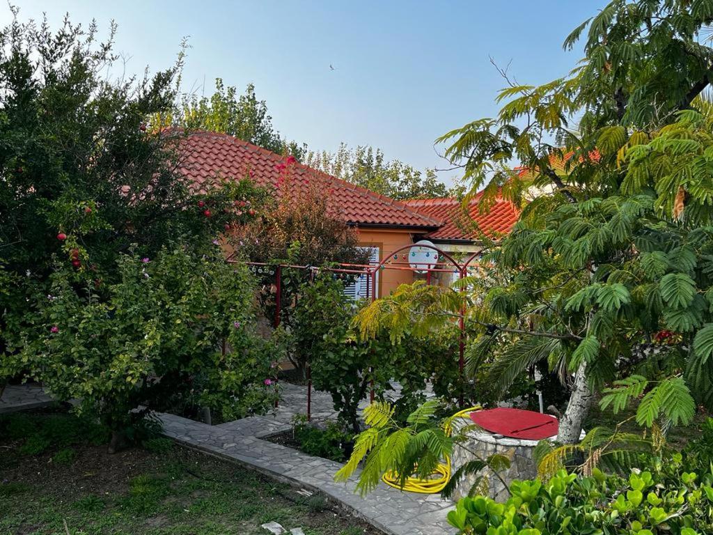 Villa Vesna Nin Exteriör bild
